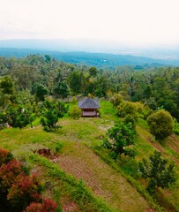 house on the hill