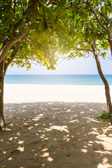 Relaxing under the tree looking out beautiful tropical beach, summer holiday, Tropical island in South of Thailand