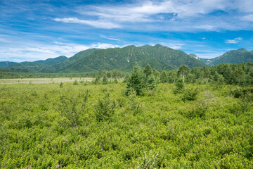 Obraz premium 戦場ヶ原