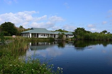 Fototapeta na wymiar Royal Palm Visitor Center and Anhinga Trail in Everglades National Park on sunny spring morning..