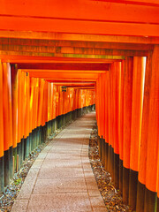 Fototapeta premium Kyoto Fushimi Inari Taisha Shrine in Kyoto 