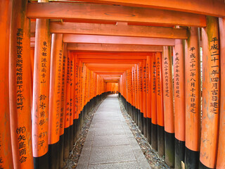 Fototapeta premium Kyoto Fushimi Inari Taisha Shrine in Kyoto 
