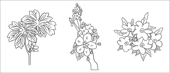 Hand drawn flower coloring page line art vector blank printable design to fill in