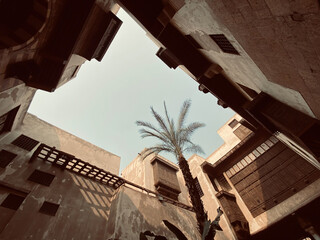 Obraz premium Palm tree in the courtyard of a house in the Islamic district of Cairo, Egypt