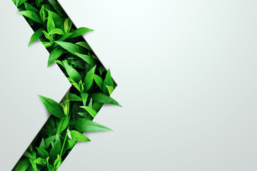Natural concept, environment and organic products. Green abstract arrow, natural design. Natural...