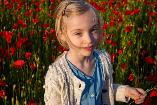 Spring girl. Beautiful child girl are wearing casual clothes in field of poppy flowers. Pretty little girl on a poppy field, outdoor.