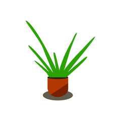 Vector of  Indoor green plant in a pot. Potted plant for interior.
