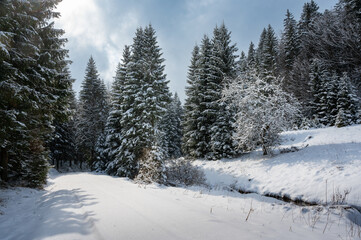 Waldviertler Winterlandschaft im Sonnenschein