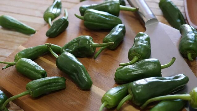 Vegetable ingredients for cooking, organic green Padron peppers on table