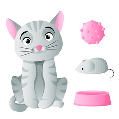 Gray cat sits and accessories for the cat