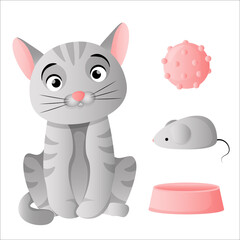 Gray cat sits and accessories for the cat