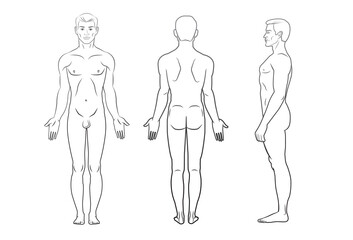 Vector sketch illustration of male body. Front, back and side view.