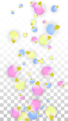Vector Realistic Colorful Petals Falling on Transparent Background.  Spring Romantic Flowers Illustration. Flying Petals. Sakura Spa Design. Blossom Confetti. Design Elements for Wedding Decoration.