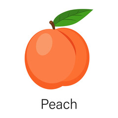 Ripe peach isolated on white background. Vector illustration in flat style