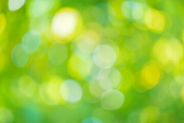 Fototapeta premium Abstract blur green leaf bokeh nature background