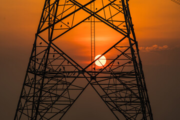 Silhouette of bird perched on high voltage post,High voltage tower sky sunset background.