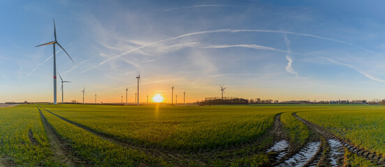Landscape with wind turbines, budding winter wheat with tractor tracks in a field and agricultural...