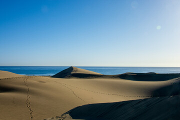 The desert dunes in front of the water of the Atlantic ocean