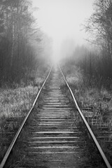 Fototapeta na wymiar Empty railway perspective in a foggy morning, vertical black and white