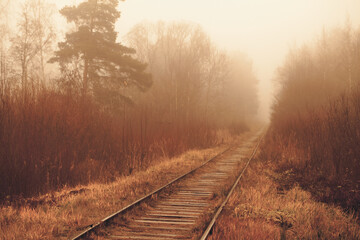 Fototapeta premium Empty railway is in a foggy forest in autumn morning