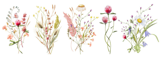 Wild flowers watercolor bouquet botanical hand drawn illustration - obrazy, fototapety, plakaty
