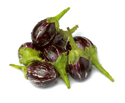 Brinjal or baingan is also known as eggplant botanical Eggplants on white background
