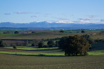 krajobraz góry pola niebo natura rośliny © Piotr
