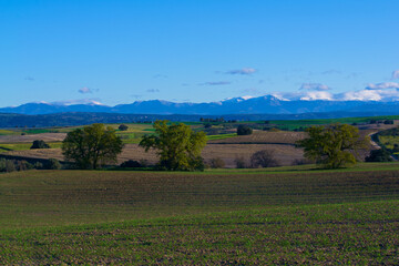 krajobraz góry pola niebo natura rośliny