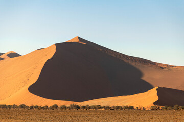 Fototapeta na wymiar Beautiful photo of a duna with shadows on the both sides, Namibia.