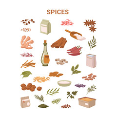 Natural and organic ingredients for food seasoning, isolated spices. Vector in flat style, mint and olive oil in jar, oregano and garlic, anise star and cinnamon stick, turmeric powder - obrazy, fototapety, plakaty
