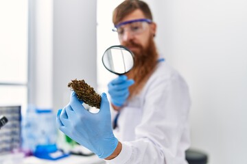 Young redhead man wearing scientist uniform holding marihuana weed with loupe at laboratory