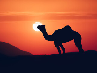 wild camel silhouette in the Sahara desert at sunset