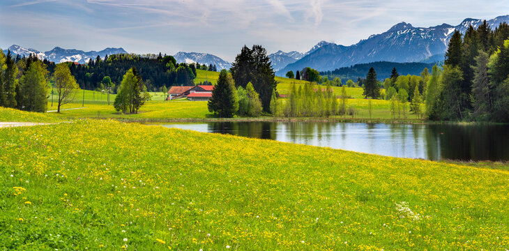 beautiful landscape with vibrant green color at springtime