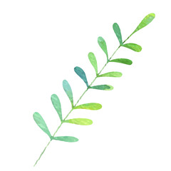 Obraz premium tropical flowers and leaves, cute childish illustration, design and print 