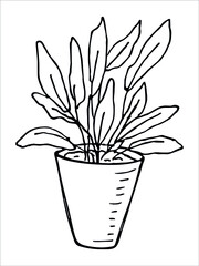 Сute hand drawn houseplant in a pot clipart. Plant illustration isolated on white background. Cozy home doodle.