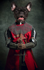 Surreal artwork with medieval knight, warrior headed of dog's head wearing armour isolated over...