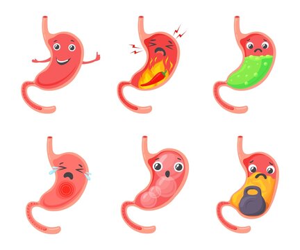 Gastric bloating. Cartoon stomach problem, esophageal abdomen ache ulcer indigestion diarrhea heartburn medical concept child tummy, healthy belly symbol neat vector illustration
