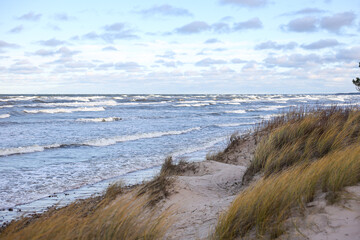 Baltic sea seaside coastal view with seagrass in front ground and waves in the background.