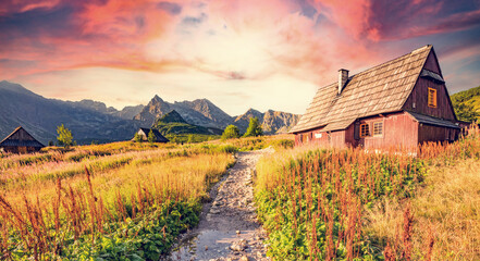 Tatra mountains with valley landscape in Poland - obrazy, fototapety, plakaty