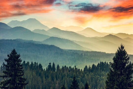 Fototapeta Hills and mountains landscape in clouds and fog at sunset.