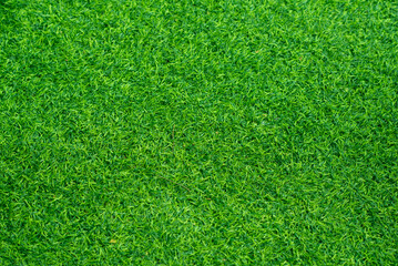 Obraz premium Green grass background, football field