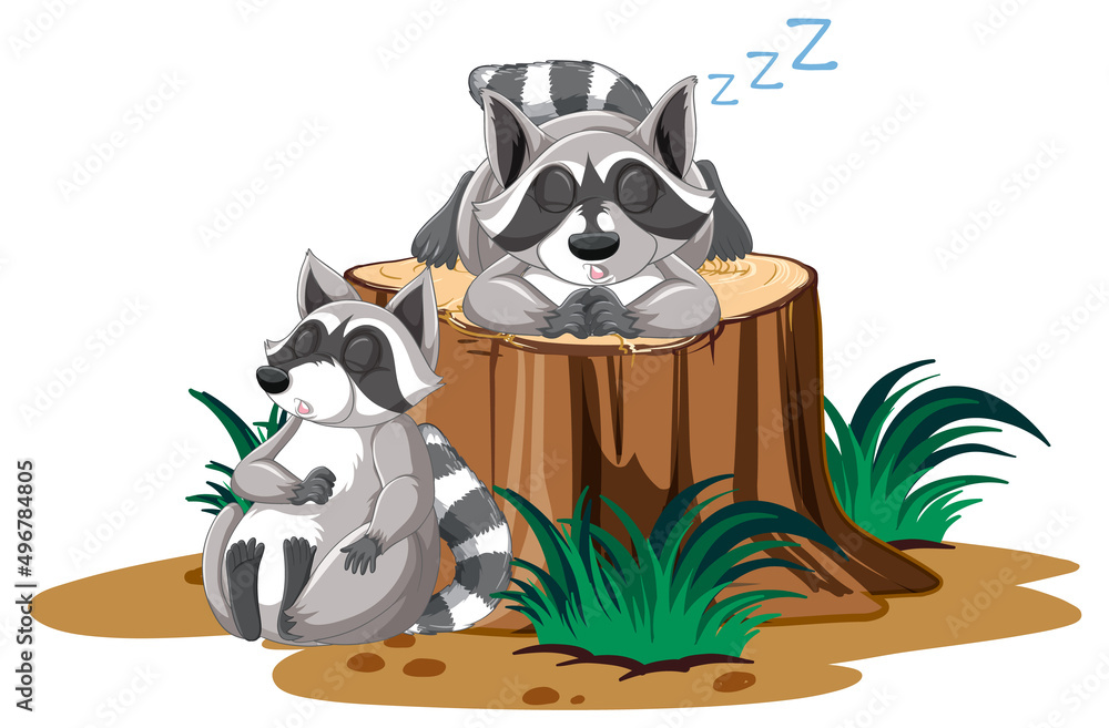 Canvas Prints Two raccoons sleeping on the log