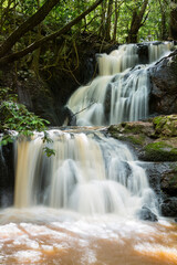 Fototapeta na wymiar Nairobi River Waterfall in Karura Forest, Kenya