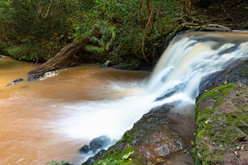 Nairobi River Waterfall in Karura Forest, Kenya - 496791617
