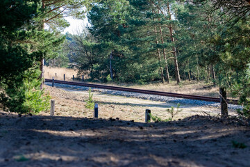 Fototapeta premium old train track through the forest