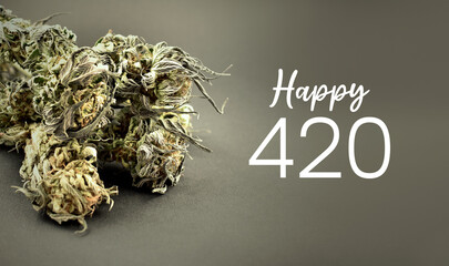 Happy 420 holiday greeting card  with dried marijuana buds stock images. Marijuana herbal cannabis with number 420 stock photo. Dried hemp leaves images. April 20. Important day