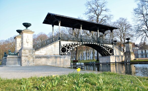 Sortie des premi&egrave;res jonquilles vers le pont Napol&eacute;on &agrave; Lille champs de Mars 