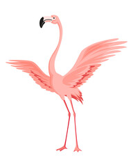 Fototapeta premium Pink flamingo. Exotic tropical bird character. Isolated wildlife animal. Nature wild fauna. Cute african bird standing
