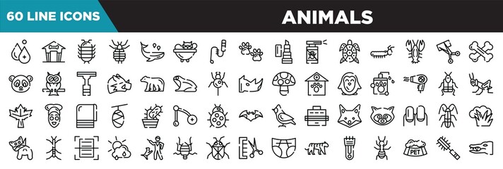 animals line icons set. linear icons collection. hydrotherapy, pet house, cochineal, louse vector illustration
