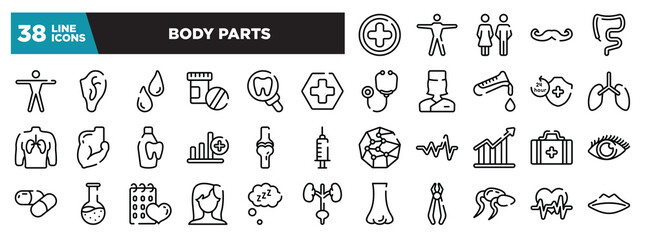 set of body parts icons in thin line style. outline web icons collection. hospital medical, human body standing, family of heterosexual couple, mustache curled tip, large intestine vector